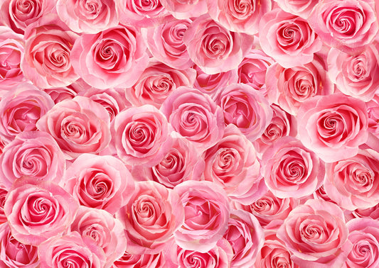 Self Adhesive Charming Pink Rose Murals