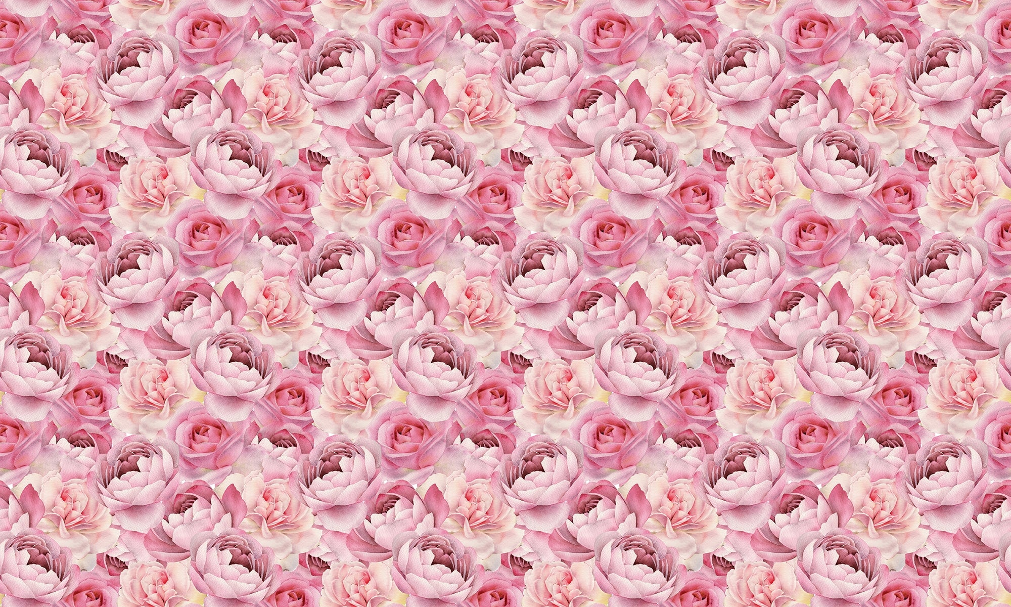 Pink Watercolor Rose Patterns Wallpaper
