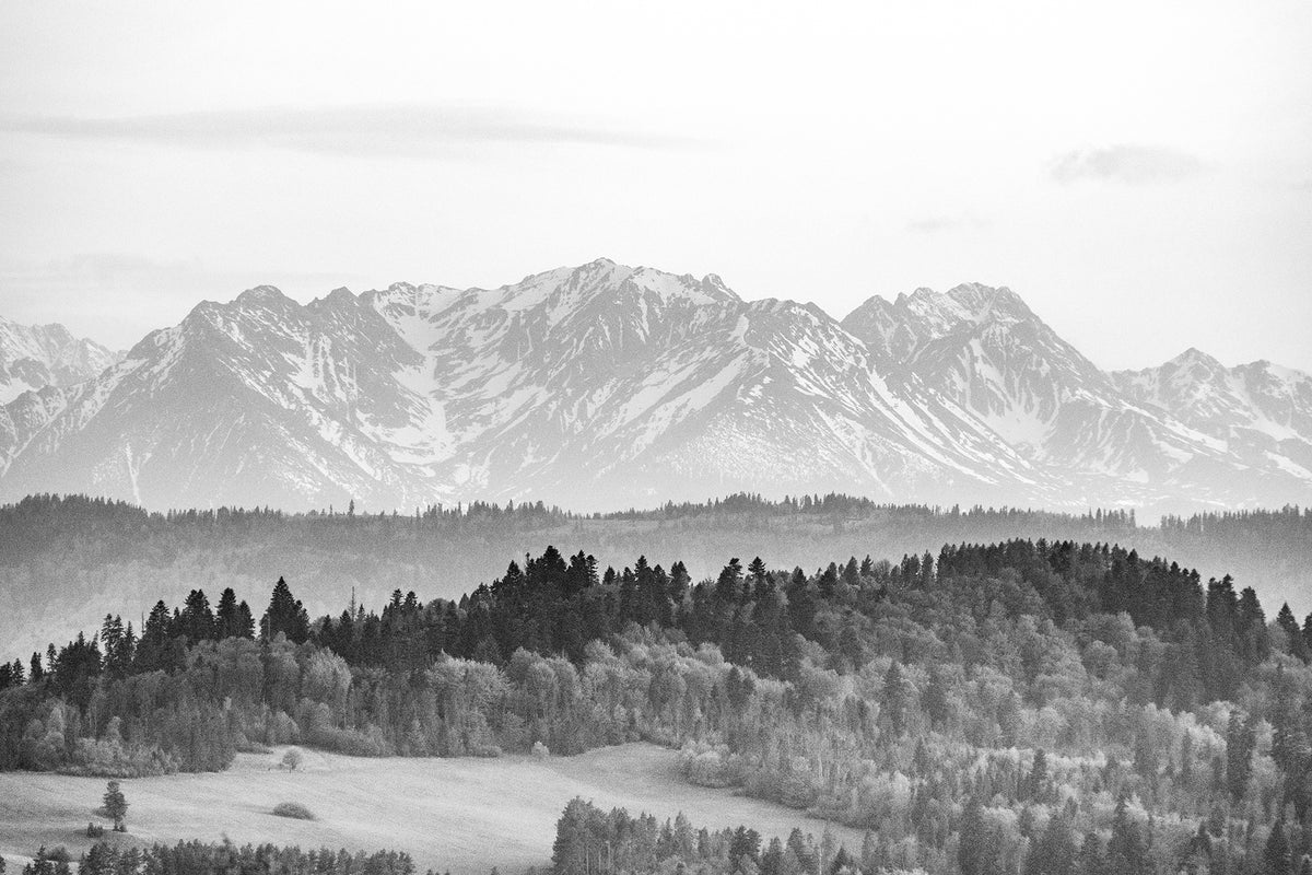 Self Adhesive Snow Covered Range Wall Mural in your room — zoomed