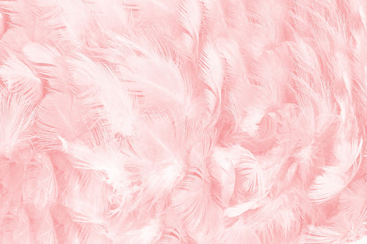 Nostalgic Pink Vintage Feathers Murals