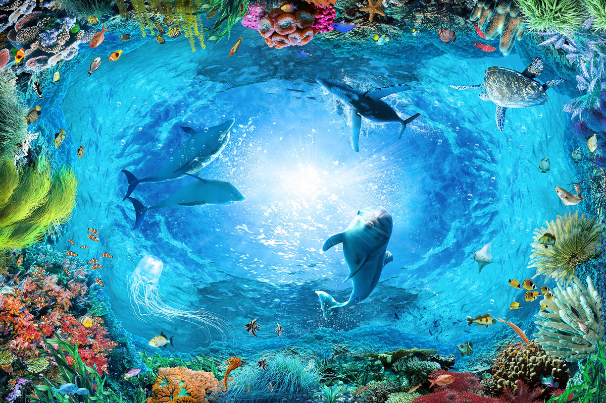 Dolphins Aqua Adventure Wall Murals in your room — zoomed
