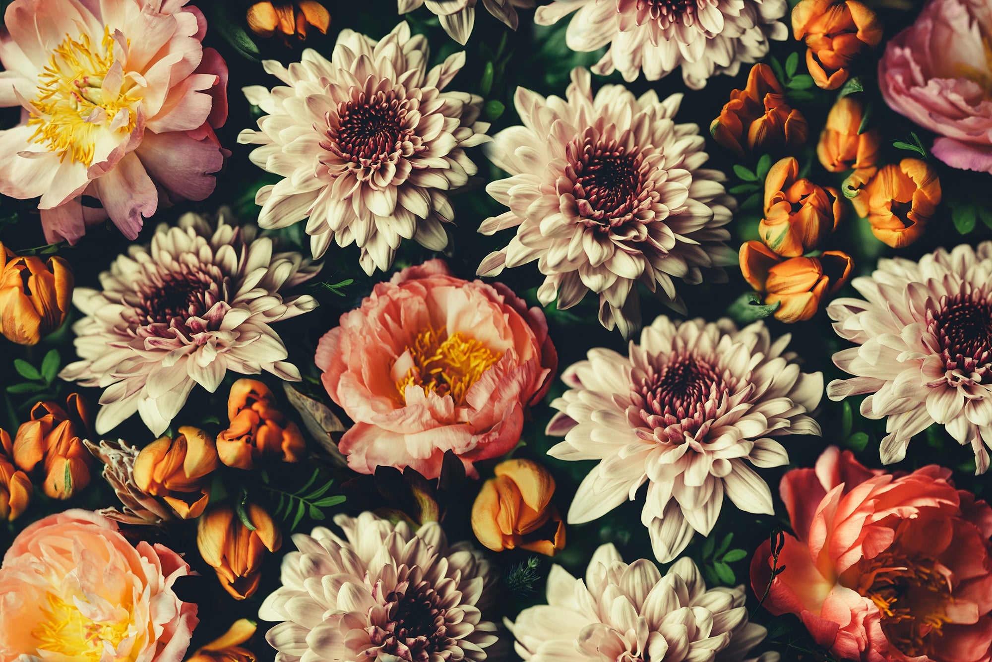 Wild Floral Serenity Wallpaper Murals