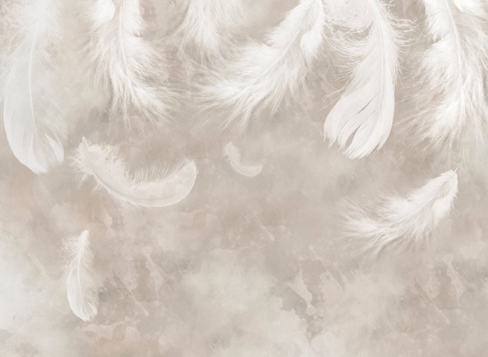 Ethereal Feather Drift Wall Mural in your room