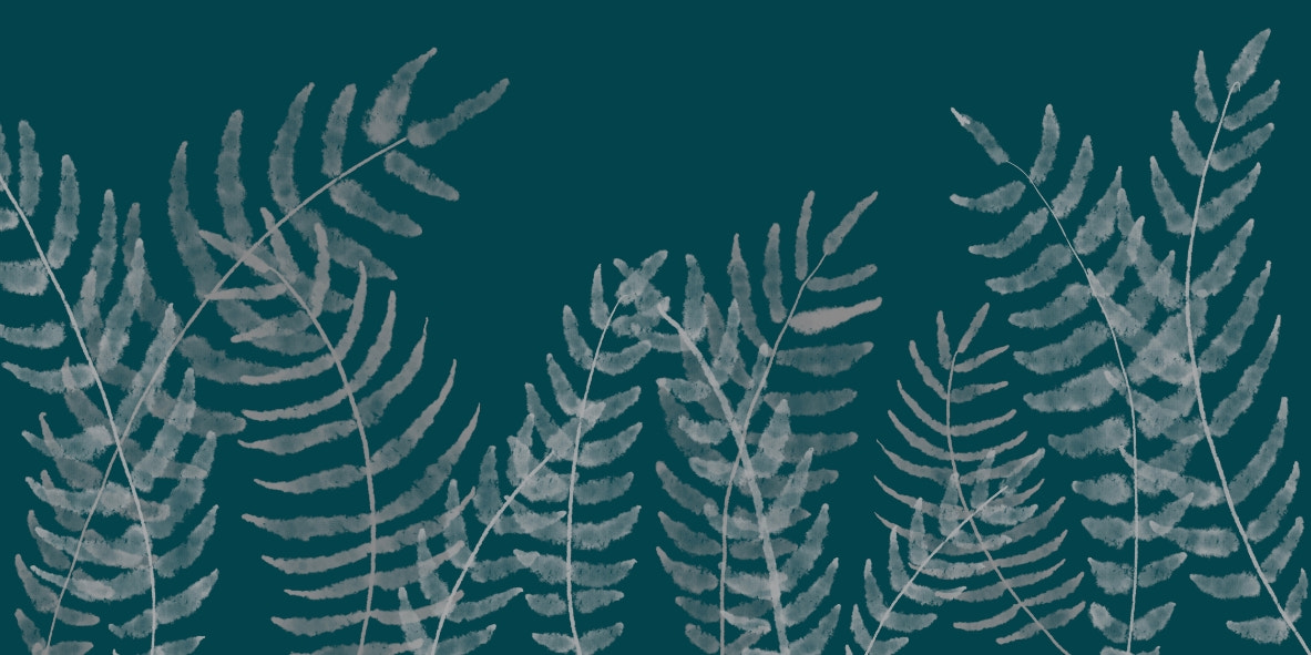Base Image