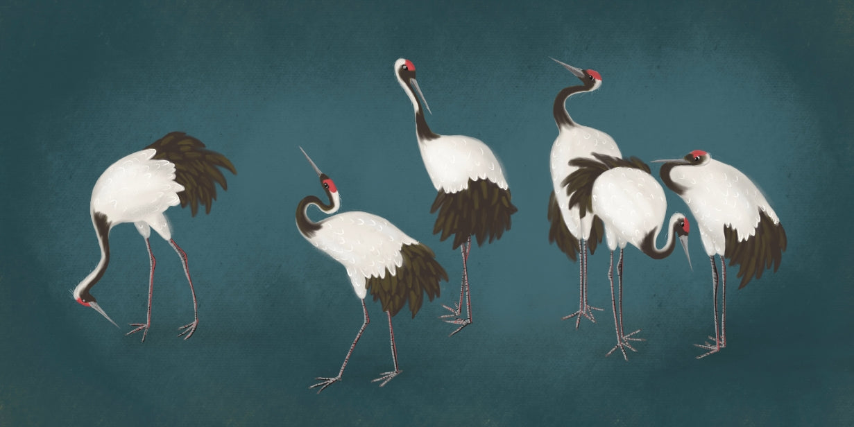 Serene Crane Dance Wallpaper Mural