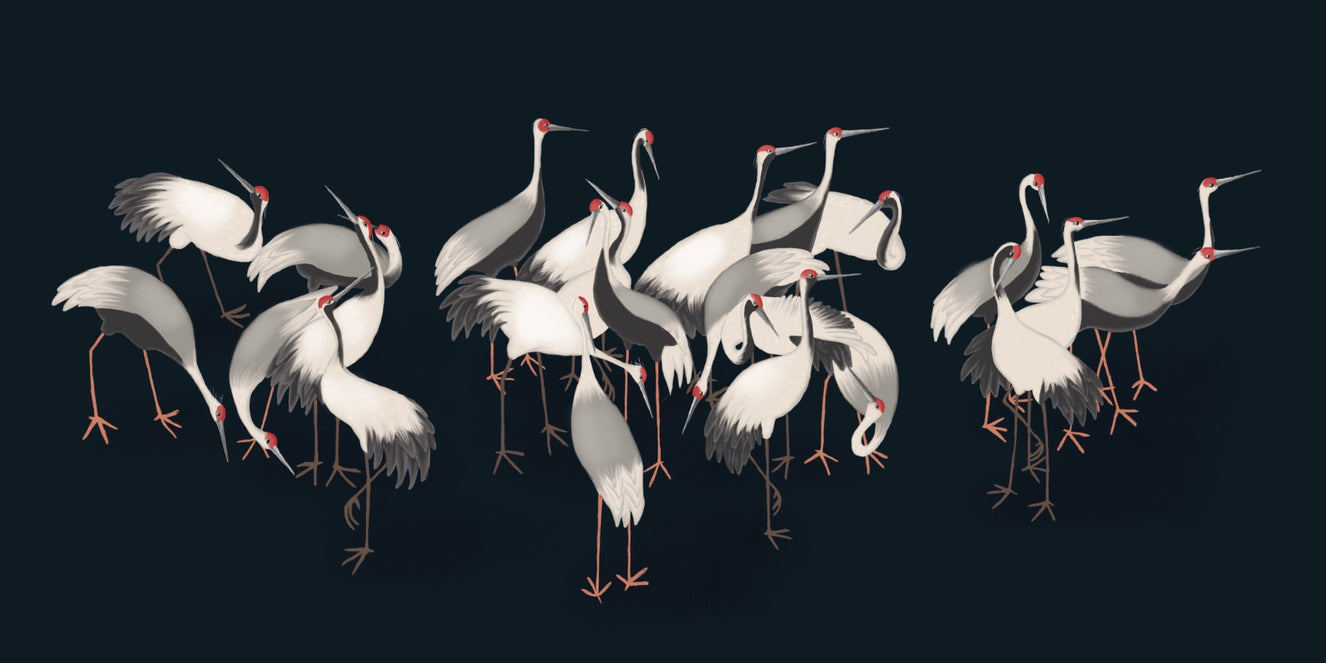 White Cranes Gathering Wallpaper Mural