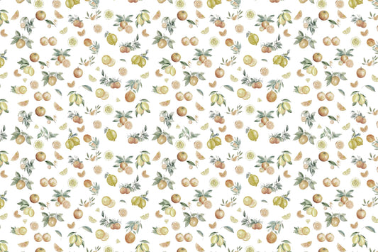 Juicy Lime Slices Wallpaper Mural