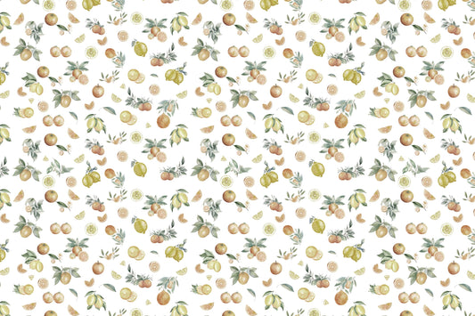Juicy Lime Slices Wallpaper Mural