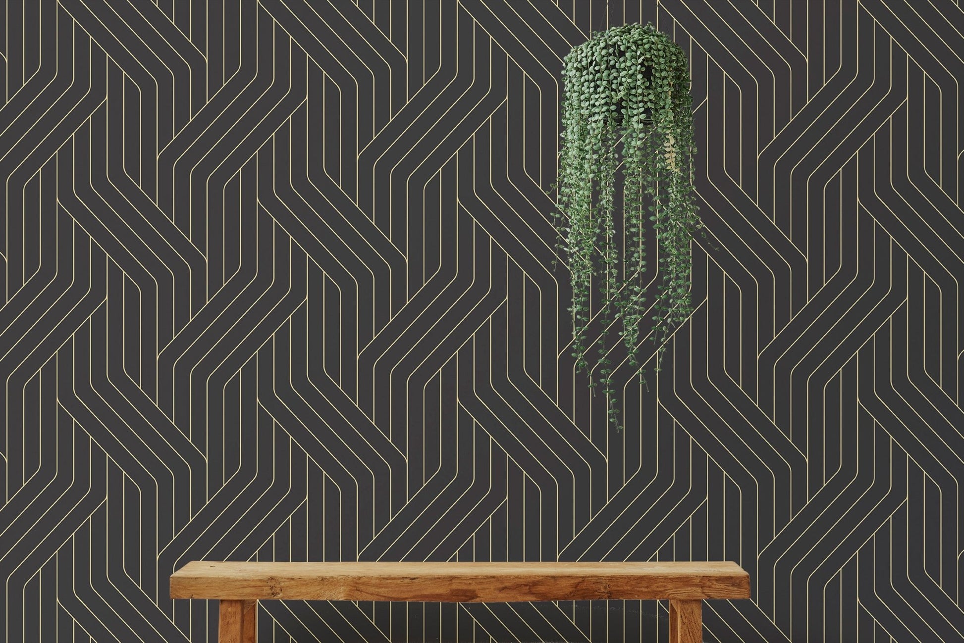 Black and Gold Ornate Rounded Lines Pattern Wallpaper behind a wooden shelf and plant.