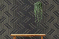 Black and Gold Ornate Rounded Lines Pattern Wallpaper behind a wooden shelf and plant.