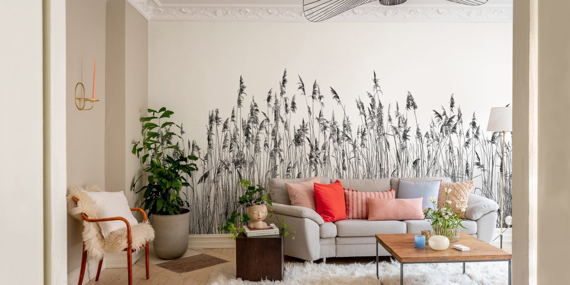 Canebrake pattern wall mural in a living area with grey furniture and plants.