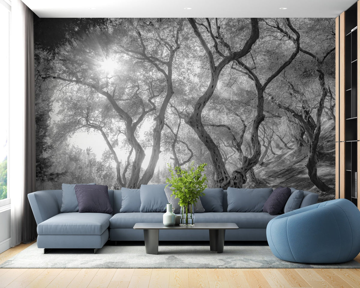 Black and white olive tree mural for calming living spaces.