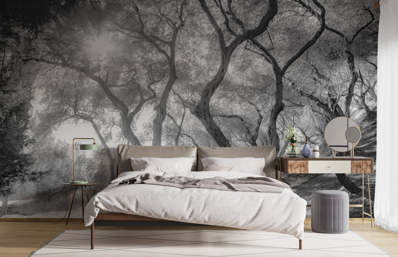 Black and white natural olive groves forest wall mural in a modern bedroom