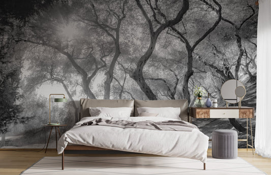 Black and white natural olive groves forest wall mural in a modern bedroom