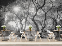 Grey tones forest wall mural for a cafe dining area backdrop.