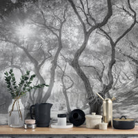 Black & white forest wall mural featuring olive trees in kitchen backdrop.
