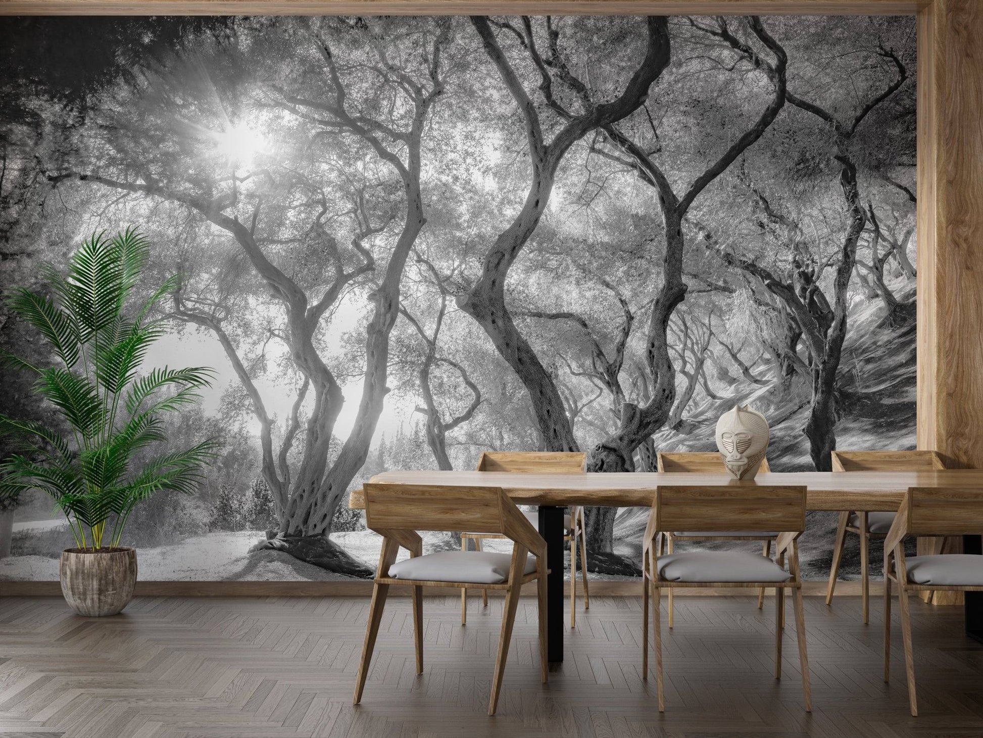 Natural olive groves forest wall mural in a large dining space
