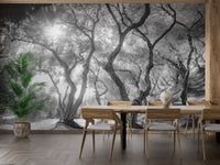 Natural olive groves forest wall mural in a large dining space