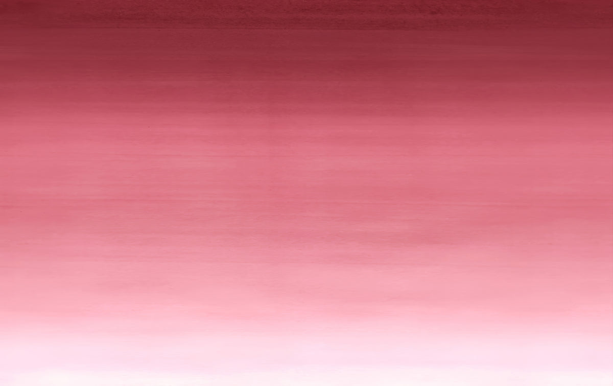 Barbie Girl Ombre Wall Mural