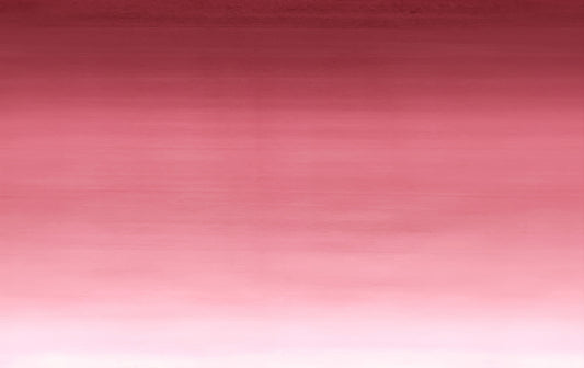 Barbie Girl Ombre Wall Mural