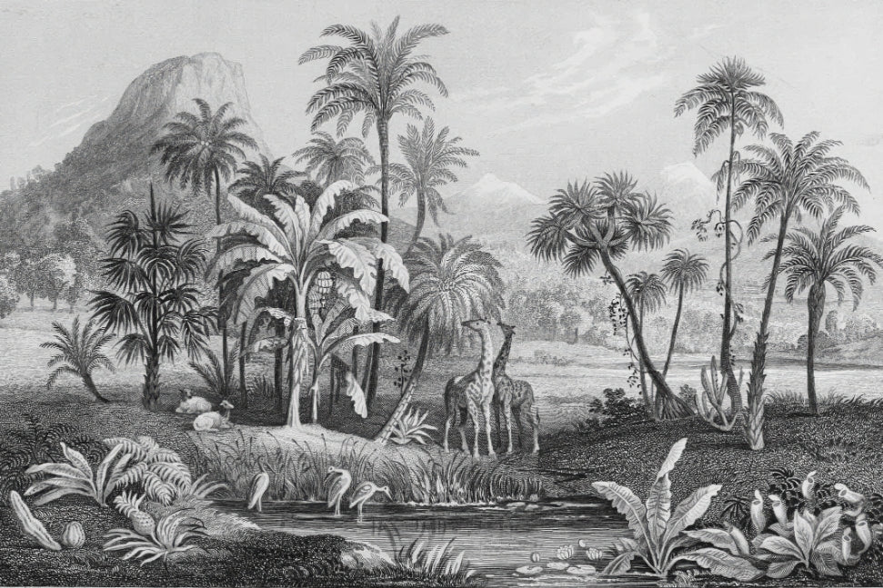 Monochrome Tropical Jungle Wallpaper