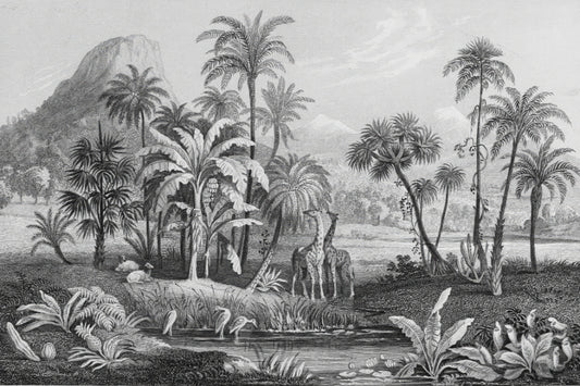 Monochrome Tropical Jungle Wallpaper
