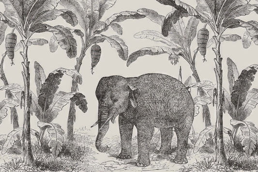 Sketchy Elephant Wallpaper Mural