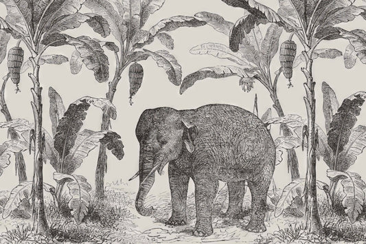 Sketchy Elephant Wallpaper Mural