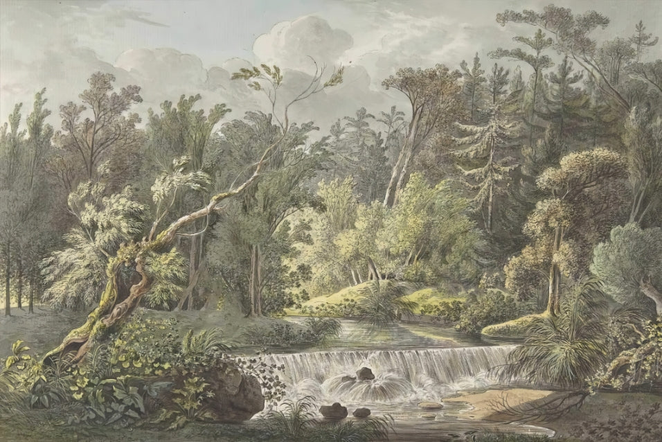 Vintage Jungle Waterfall Wall Mural