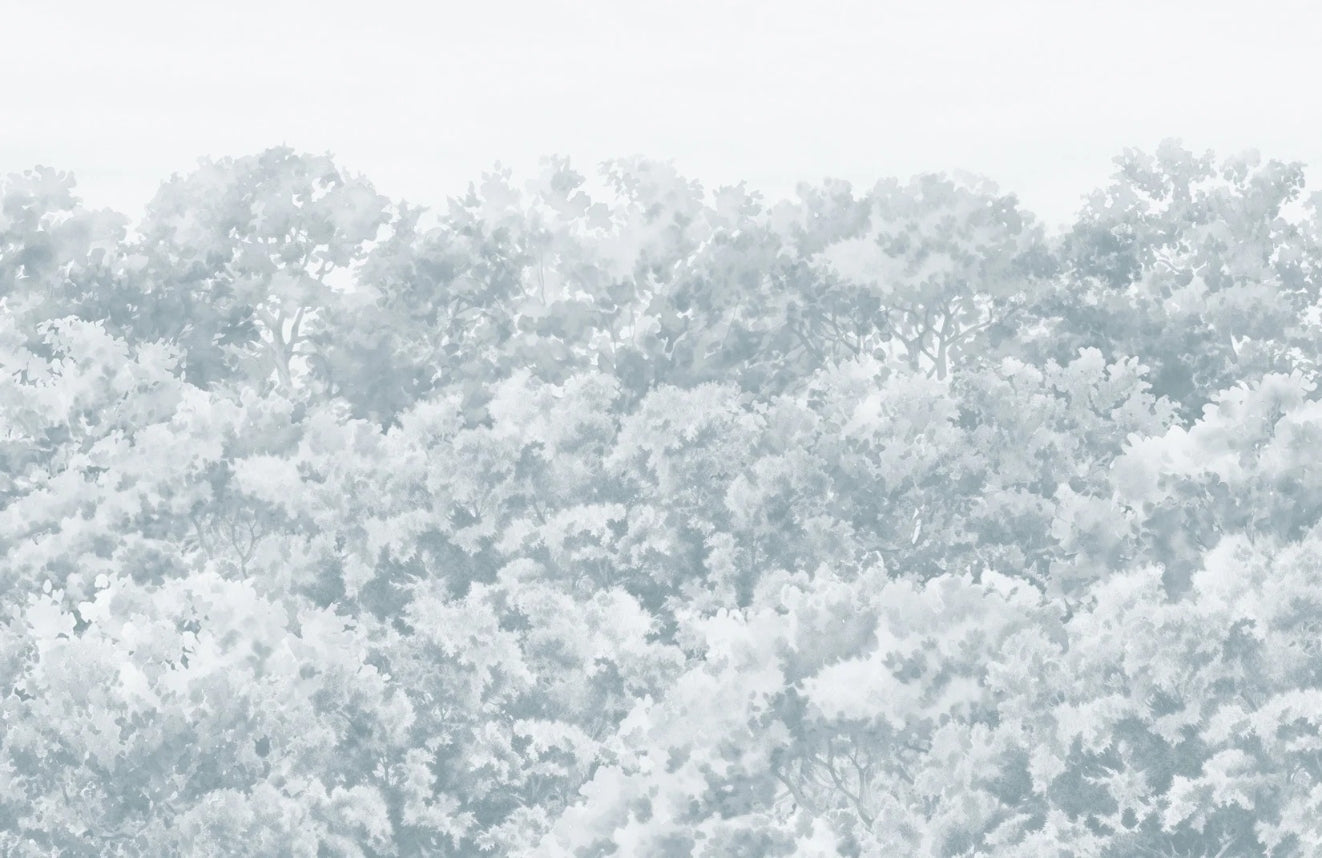 Blue Buttonwood Tree Wallpaper
