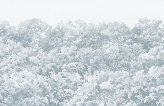 Blue Buttonwood Tree Wallpaper