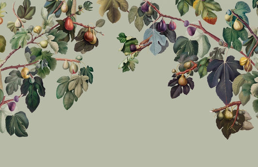 Vintage Green Fig Tree Wall Mural