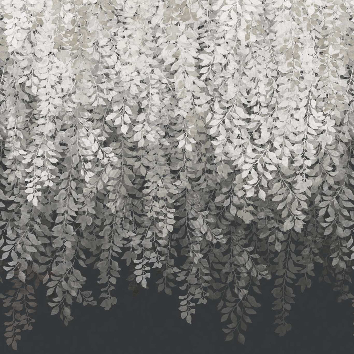 Tyndall Vine Wallpaper Mural in your room — zoomed