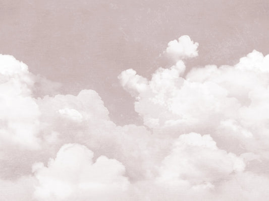 Soft Pink Clouds Wall Mural