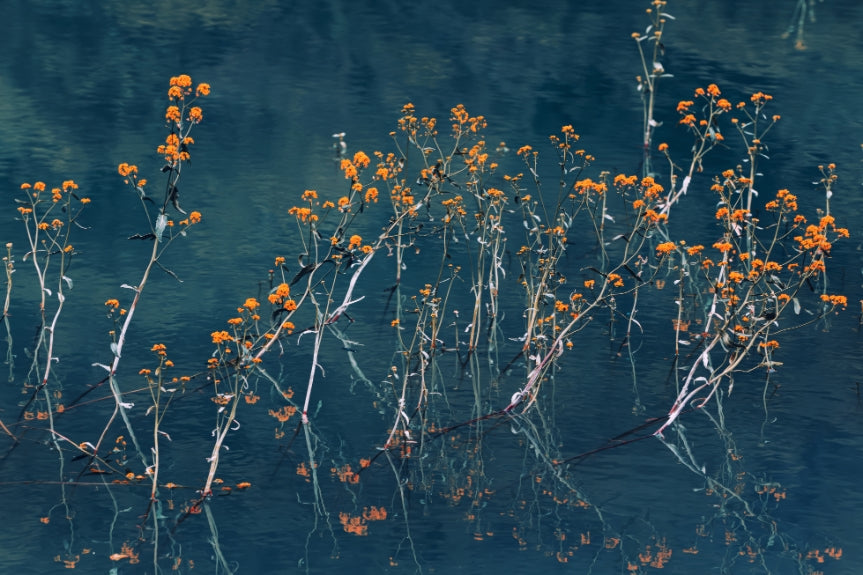 Autumn Whispers Wallpaper Mural