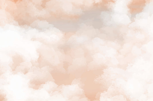 Soft Peach Sunrise Wall Mural