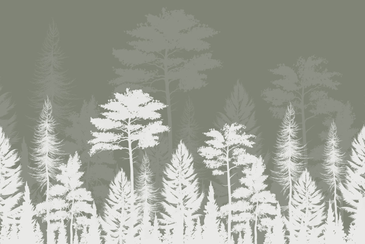 Woods Shadow Wallpaper Mural in your room