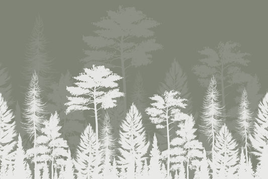 Woods Shadow Wallpaper Mural