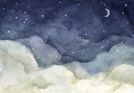 Starry Night Sky Wall Mural