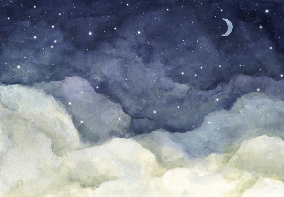 Starry Night Sky Wall Mural