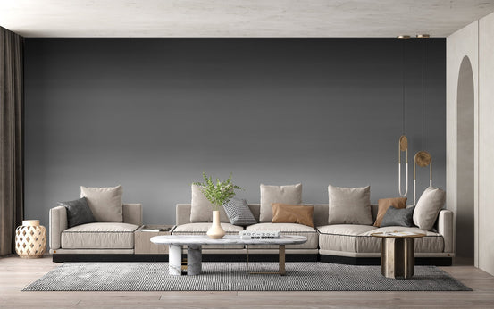 Charcoal ombre wall mural with black to white horizontal gradient.