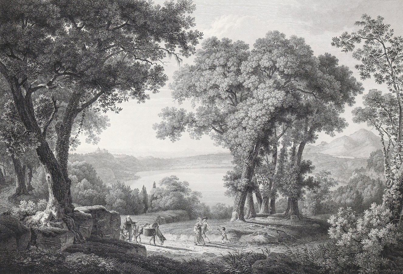 Classic gray forest sketch wall mural featuring large oak trees and a distant lake.