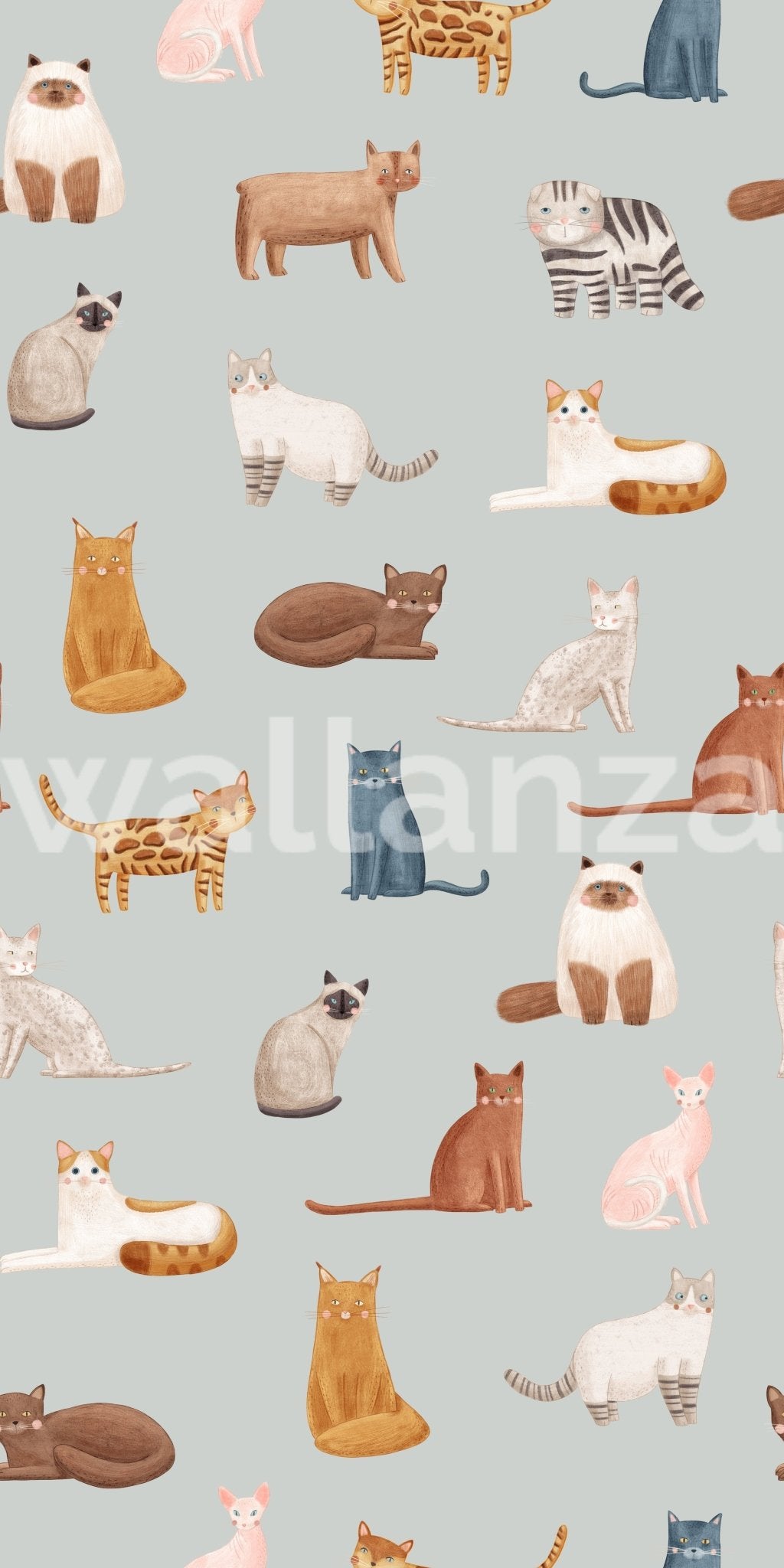 Gentle blue wallpaper featuring friendly cat art.