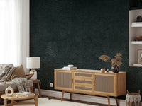 Dark Stucco Dream Wall Mural - Wallanza