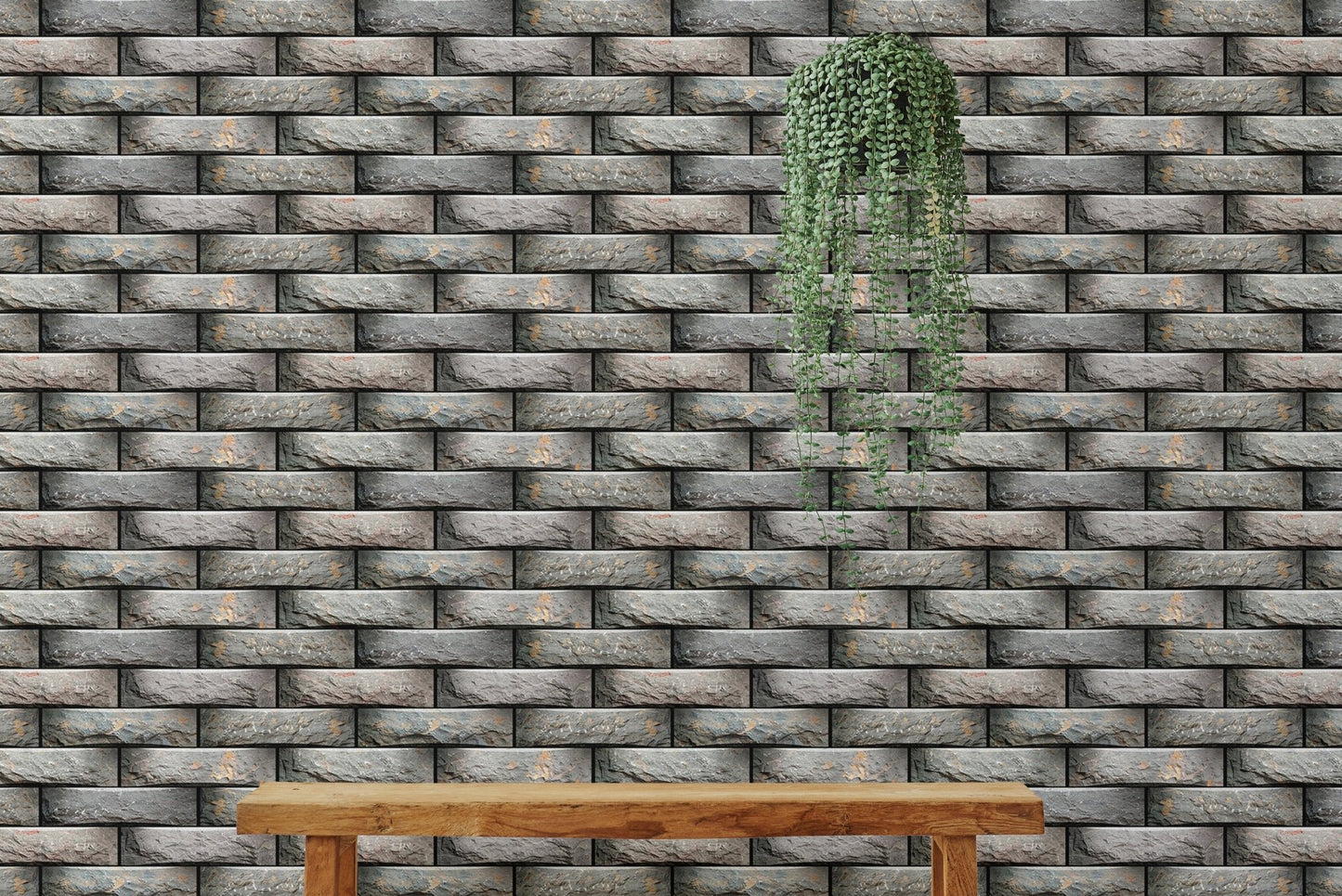 Decorative elevation tiles in geometric wallpaper design behind bench and plant.