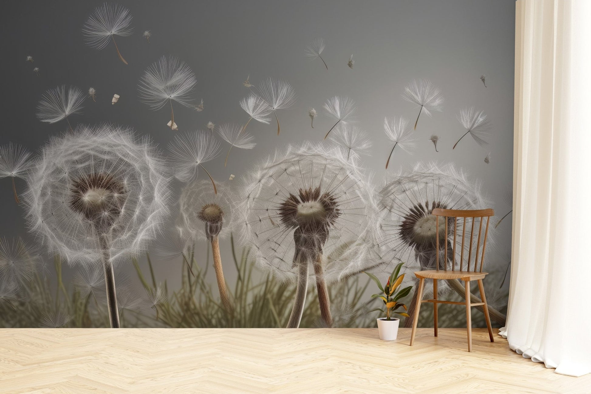 Floating Seeds Tranquil Wall Mural - Wallanza