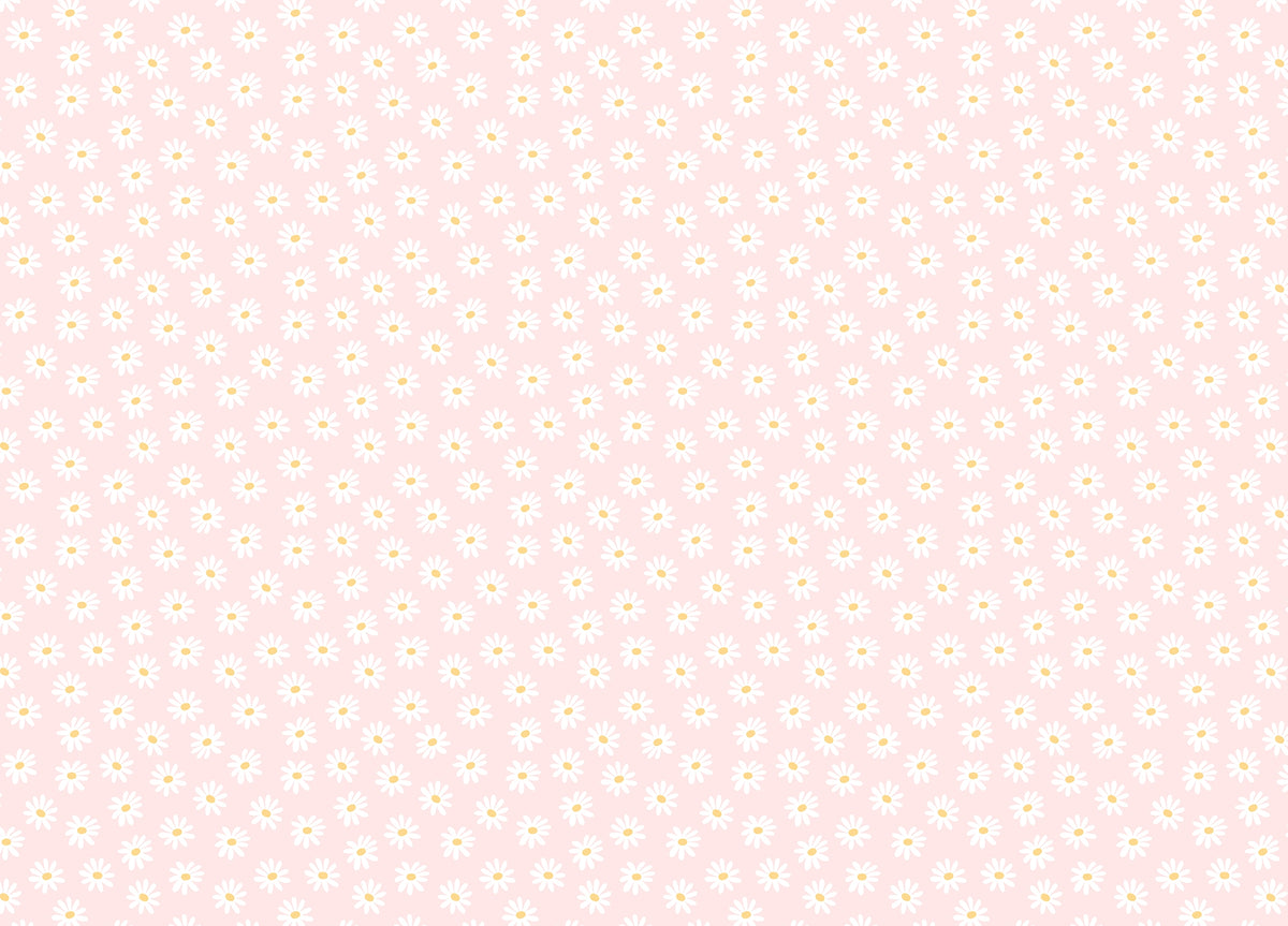 White Color Cosmos Flower Pink Background Wallpaper in your room — zoomed