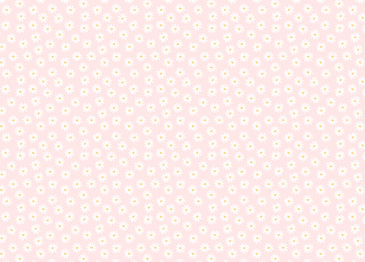 White Color Cosmos Flower Pink Background Wallpaper