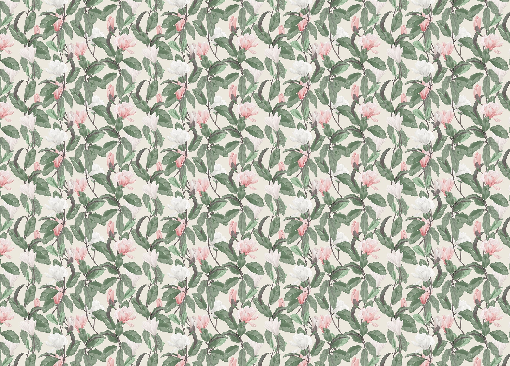 Pink and White Anise Magnolia Flowers Leaves Wallpaper