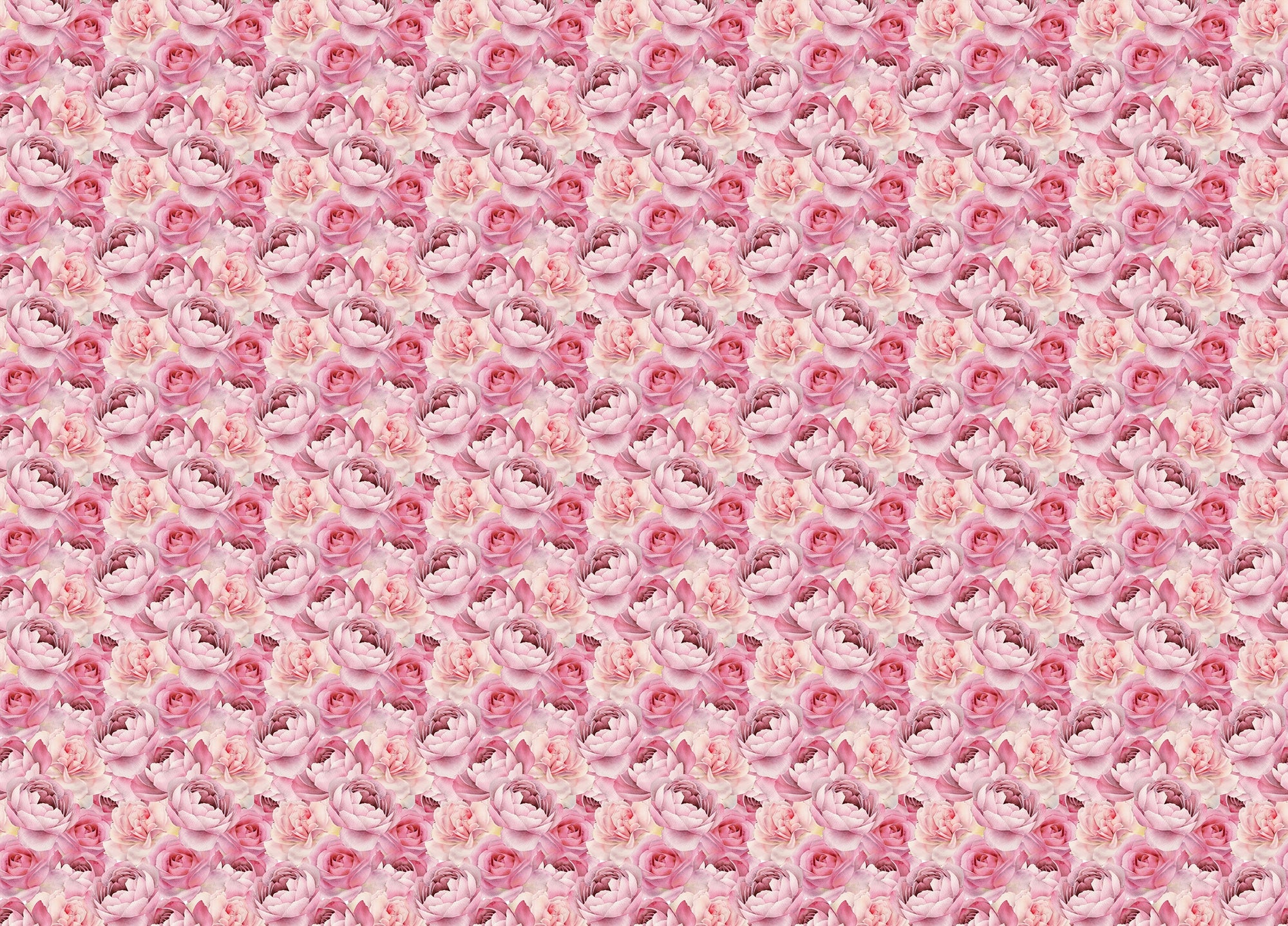 Pink Peonies Roses Wallpaper For Bedroom Wall Decor